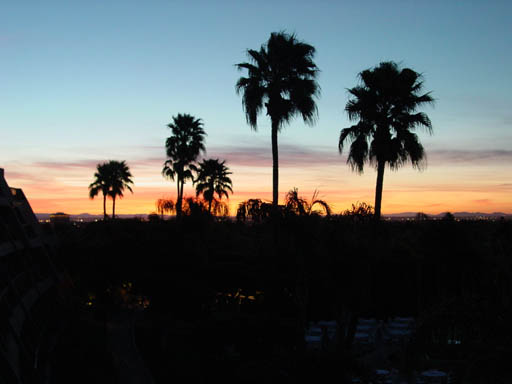 This image has been resized